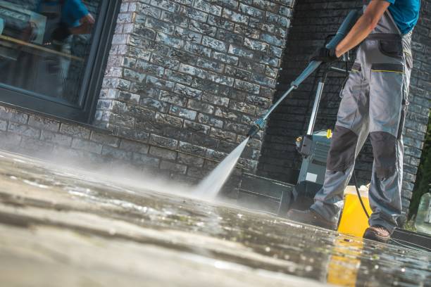 Best Fence Cleaning and Maintenance in Mayville, WI
